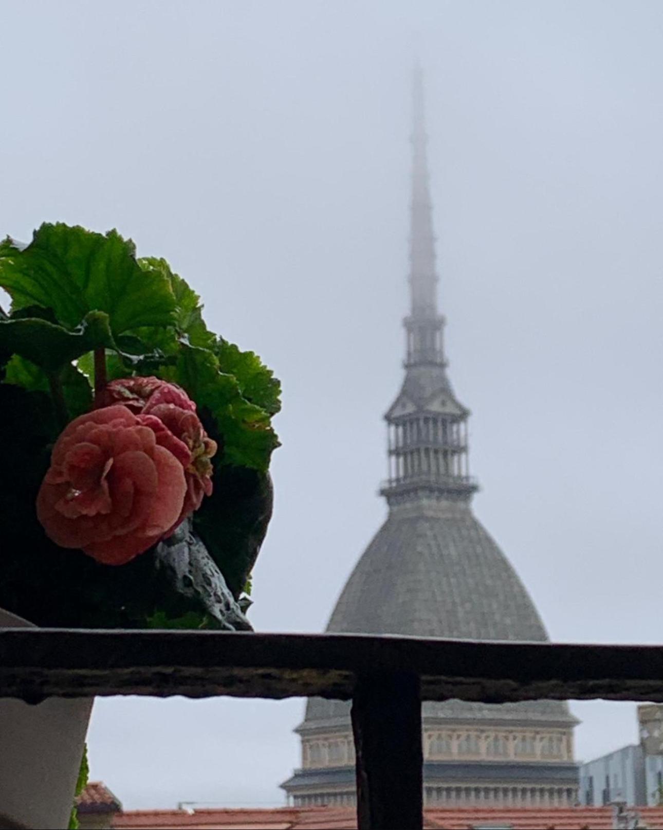 Le Finestre Sulla Mole Apartment Turin Ngoại thất bức ảnh